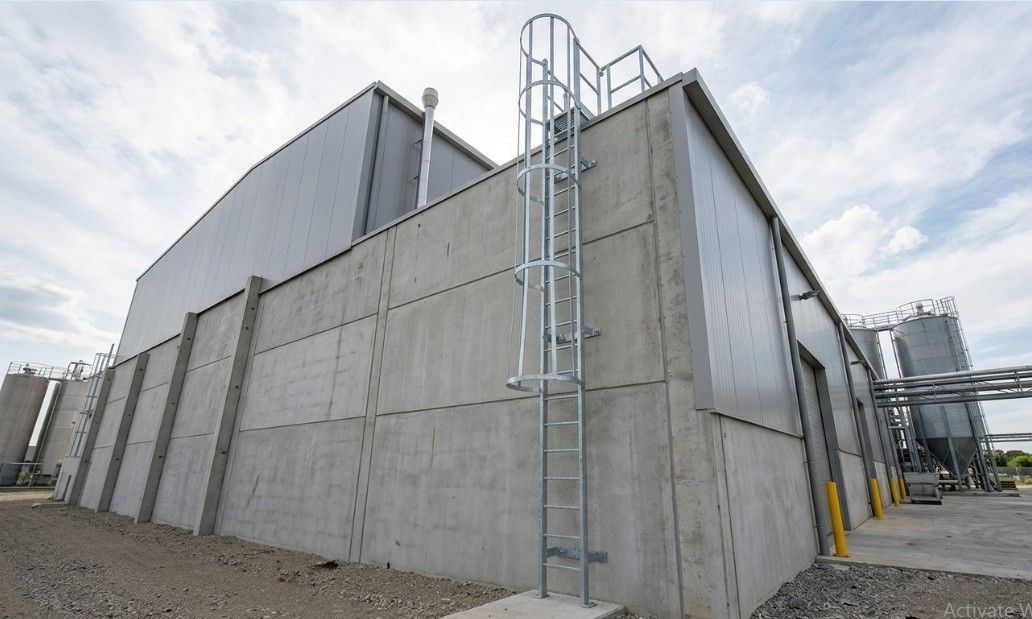 what-is-a-cat-ladder-essential-guide-and-uses