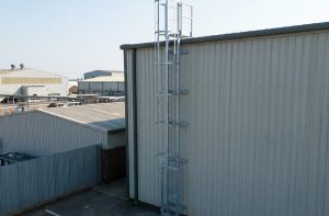 cat-ladder-maintenance-guide-for-long-term-safety